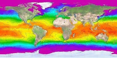 Leatherback turtle Map